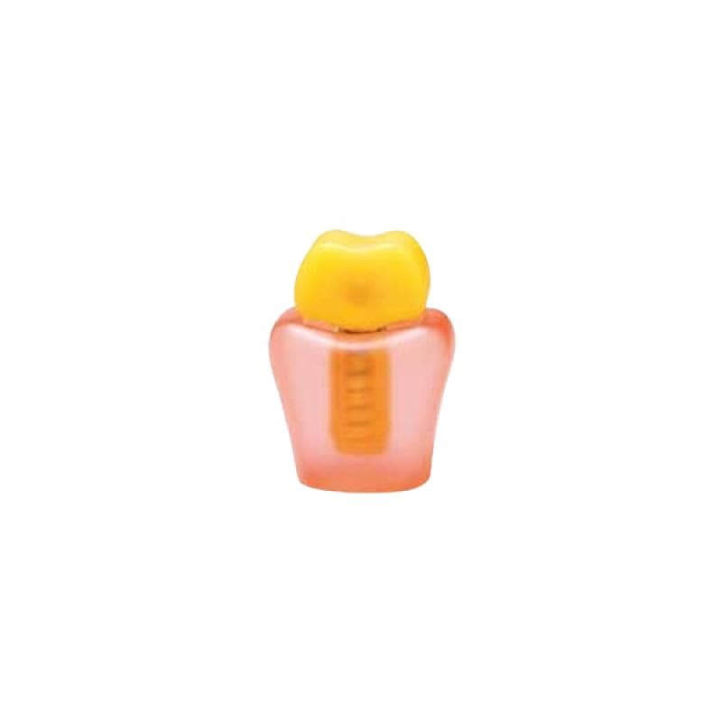 Hager And Werken 355644 Demo Implant Model