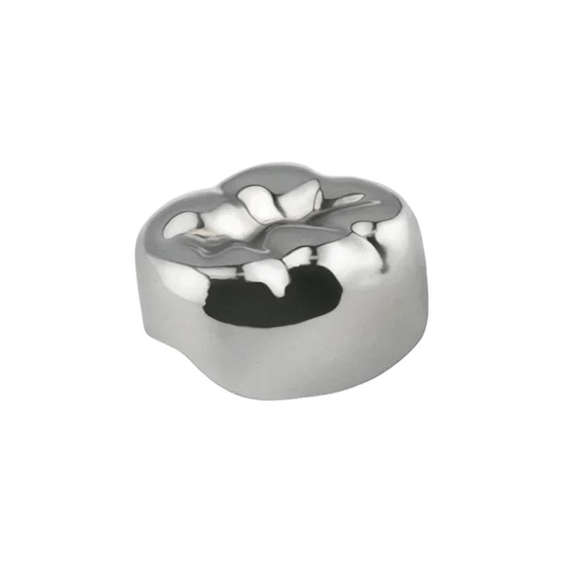 Stainless Steel Molar Crown LR E6